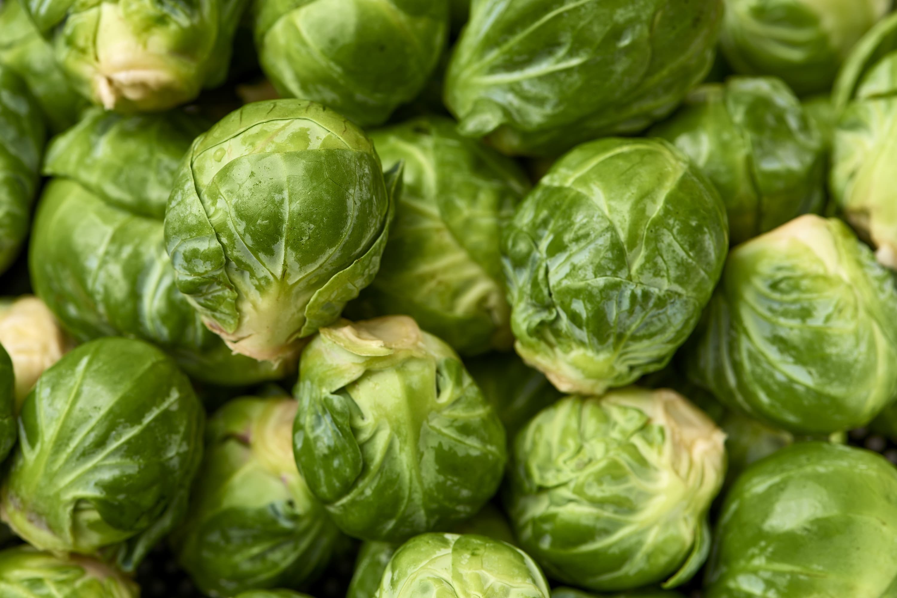 Brussel Sprouts - How they’re Farmed, and what they do for you.